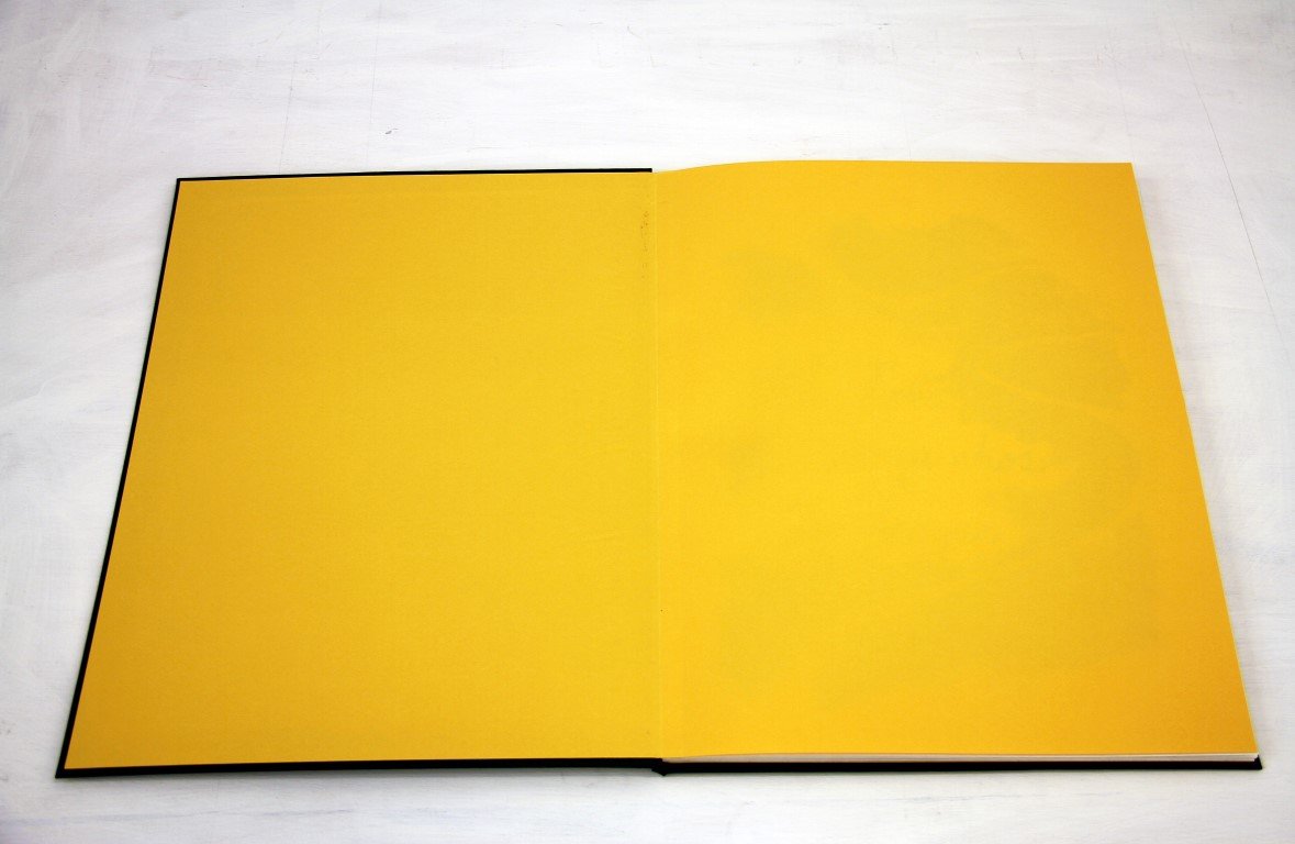 Gamarra_Os tres porquinhos_2014_book_aquarel on paper_photo_0001