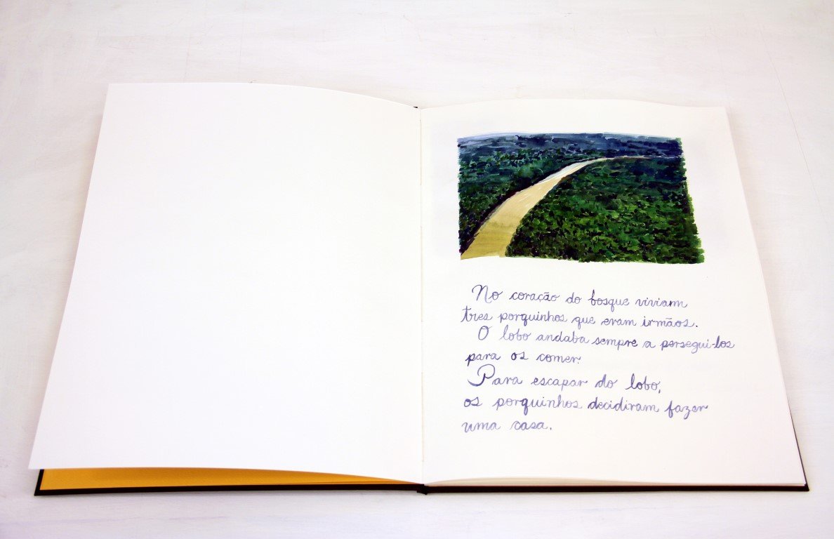 Gamarra_Os tres porquinhos_2014_book_aquarel on paper_photo_02
